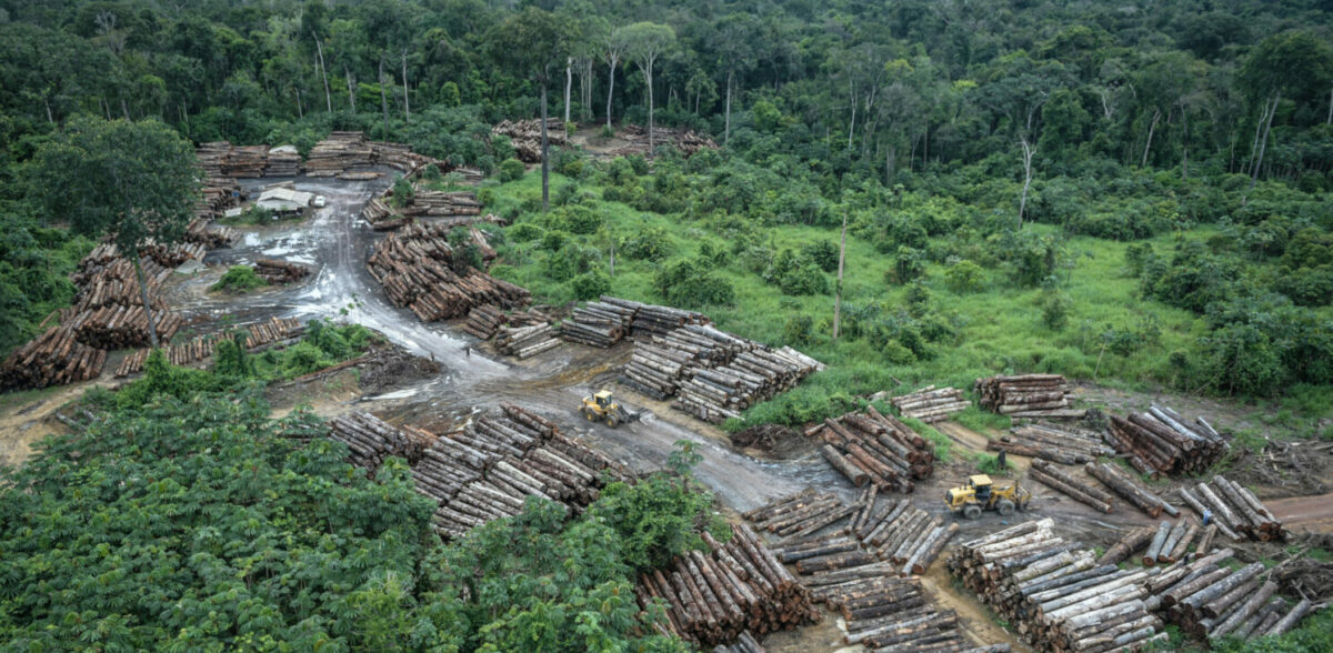 Sob Bolsonaro, “congelamento” de propriedades na Amazônia cai 85%