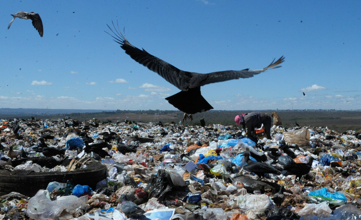 Novos dados confirmam que destina&ccedil;&atilde;o do lixo piorou sob Bolsonaro -  Fakebook.eco